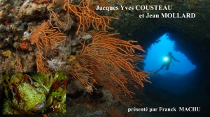 02-1 Cousteau Mollard.jpg